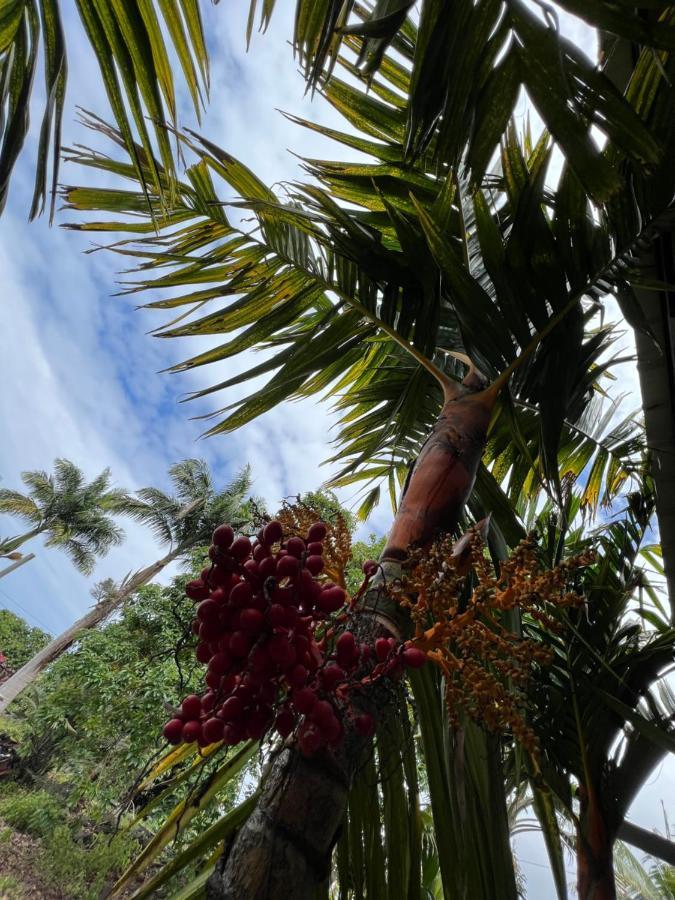 Hawaii Getaway Villa Holualoa Buitenkant foto